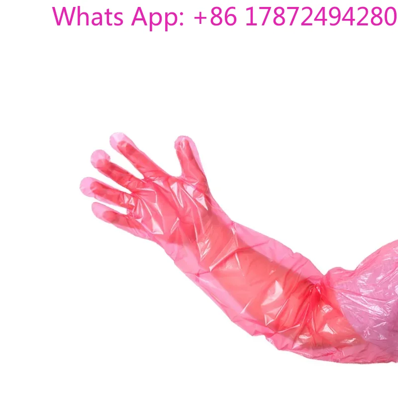 قفازات تلقيح بيطرية طويلة، 200 - مراجعة Medical Gloves وسعره